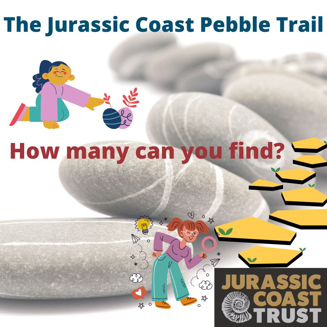 https://jurassiccoast.org/wp-content/uploads/2022/08/The-Jurassic-Coast-Pebble-Trail-Instagram-Post-Square.jpg